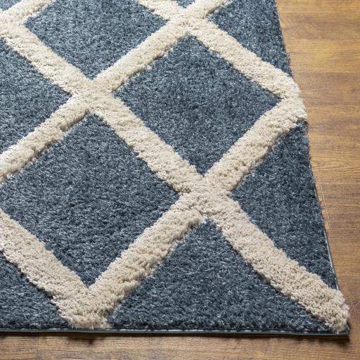 Surya Hudson Shag HDS-2301 9'2" x 12' Rug