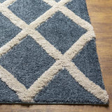 Surya Hudson Shag HDS-2301 9'2" x 12' Rug