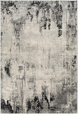 Surya Impulse IPS-2302 4'3" x 5'11" Rug
