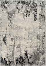 Surya Impulse IPS-2302 4'3" x 5'11" Rug