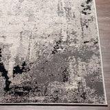 Surya Impulse IPS-2302 4'3" x 5'11" Rug