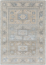 Surya Impulse IPS-2314 2' x 3' Rug