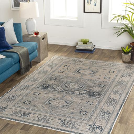 Surya Impulse IPS-2314 2' x 3' Rug