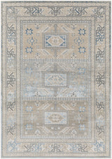 Surya Impulse IPS-2314 2' x 3' Rug