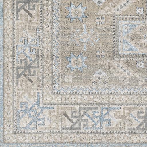 Surya Impulse IPS-2314 2' x 3' Rug