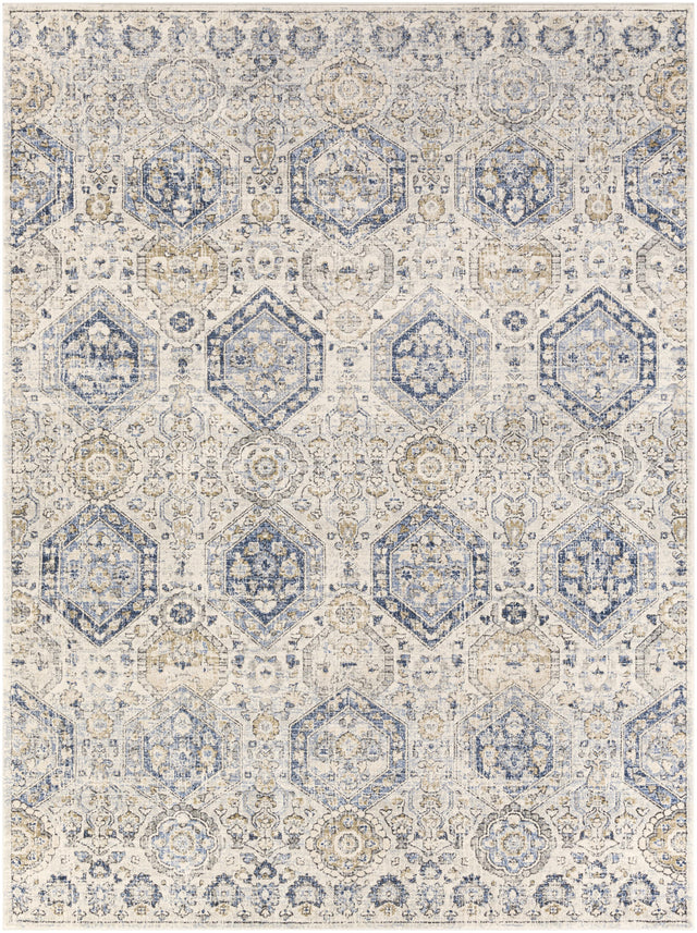 Surya Indigo IGO-2308 2' x 2'11" Rug