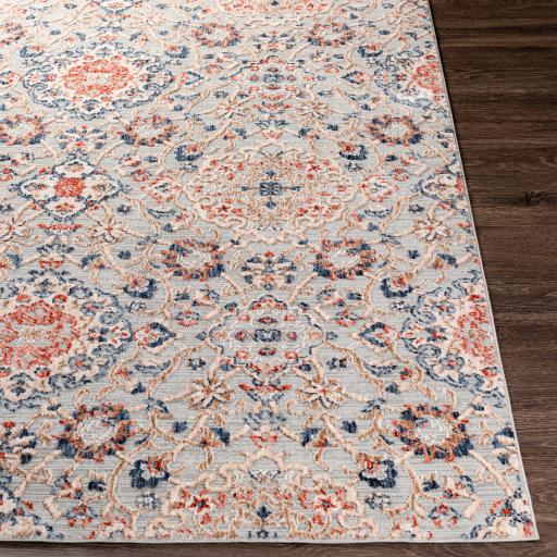 Surya Infinity INF-2309 Brick Red Brown 8'10" x 12' Rug
