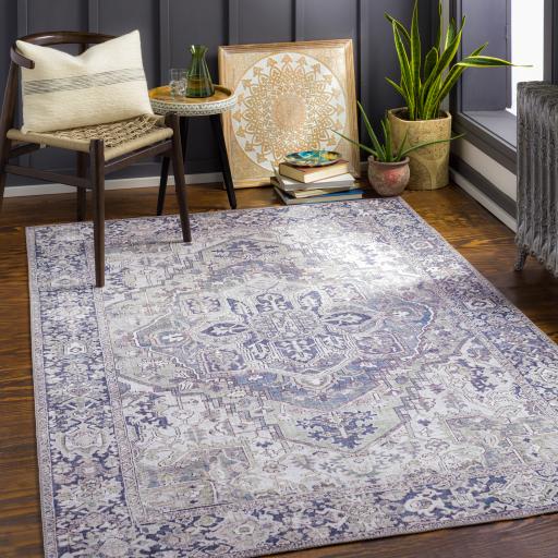 Surya Iris IRS-2359 2'3" x 3'9" Rug