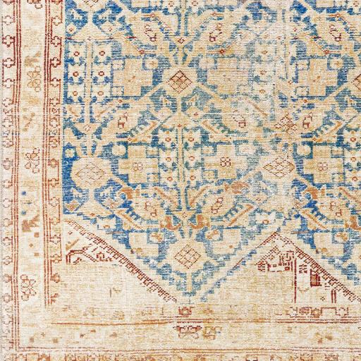 Surya Iris IRS-2364 2'3" x 3'9" Rug