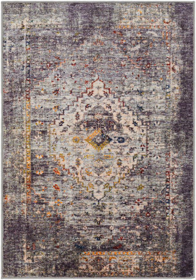 Surya Jefferson JFS-2307 2'7" x 4' Rug