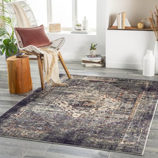 Surya Jefferson JFS-2307 2'7" x 4' Rug