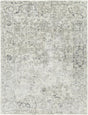 Surya Jordan JOR-2304 2' x 3' Rug