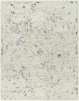 Surya Jordan JOR-2305 2' x 3' Rug