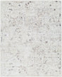 Surya Jordan JOR-2306 2' x 3' Rug