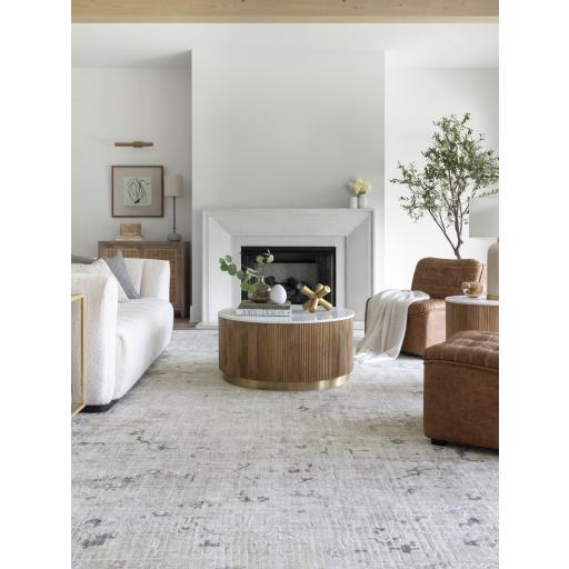 Surya Jordan JOR-2306 2' x 3' Rug