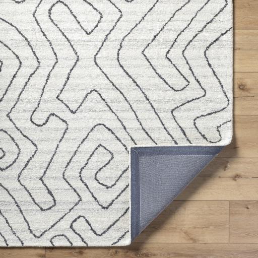 Surya Jules JLS-2302 2' x 3' Rug