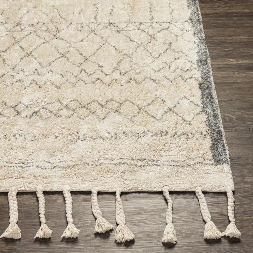 Surya Khemisset KMS-2307 2'6" x 4' Rug