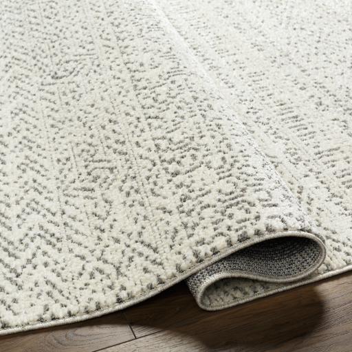 Surya La Boheme LHB-2302 2'2" x 3'9" Rug