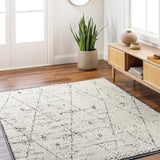 Surya La Boheme LHB-2304 2'7" x 7'3" Rug