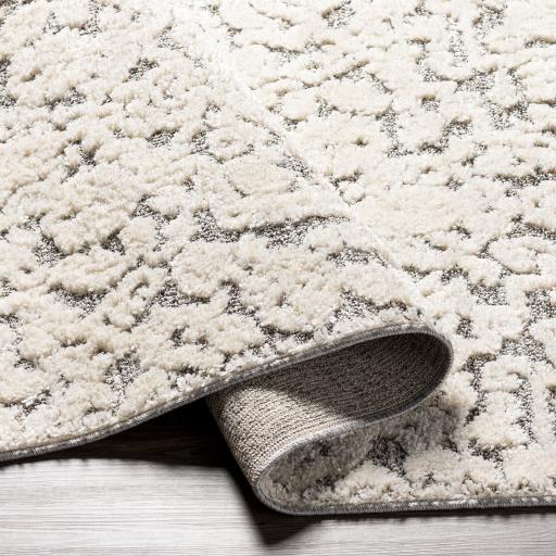 Surya La Maison LMS-2306 2' x 3' Rug