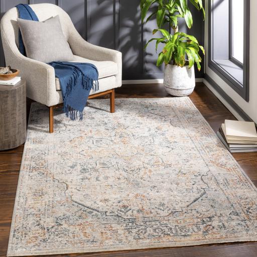 Surya Laila LAA-2310 2' x 2'11" Rug
