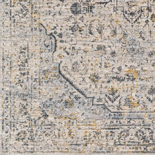 Surya Laila LAA-2311 2' x 2'11" Rug