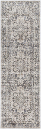 Surya Lavable LVB-2308 2'7" x 4' Rug