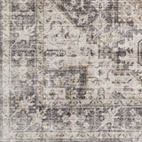 Surya Lavable LVB-2308 2'7" x 4' Rug