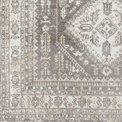 Surya Lavadora LVR-2302 2'7" x 7'3" Rug