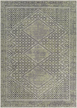 Surya Lavadora LVR-2328 2'7" x 7'3" Rug