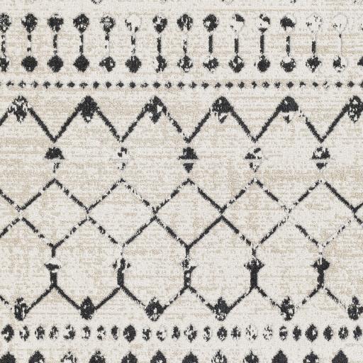 Surya Lavadora LVR-2336 7'10" x 10' Rug