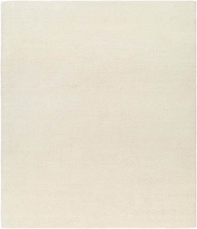 Surya Lavish LVS-2300 2' x 3' Rug