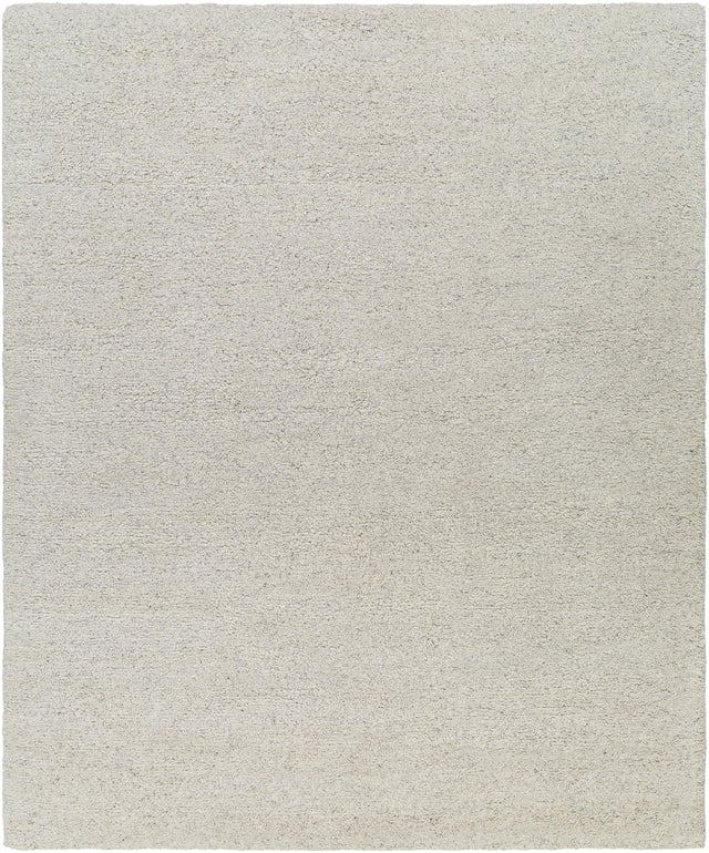 Surya Lavish LVS-2303 2' x 3' Rug