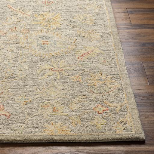 Surya Lazio LAZ-2301 2' x 3' Rug