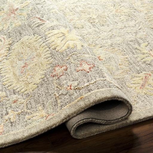 Surya Lazio LAZ-2301 2' x 3' Rug