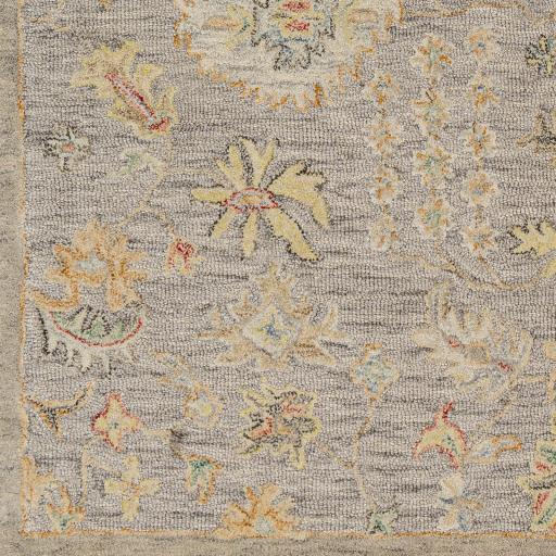 Surya Lazio LAZ-2301 2' x 3' Rug