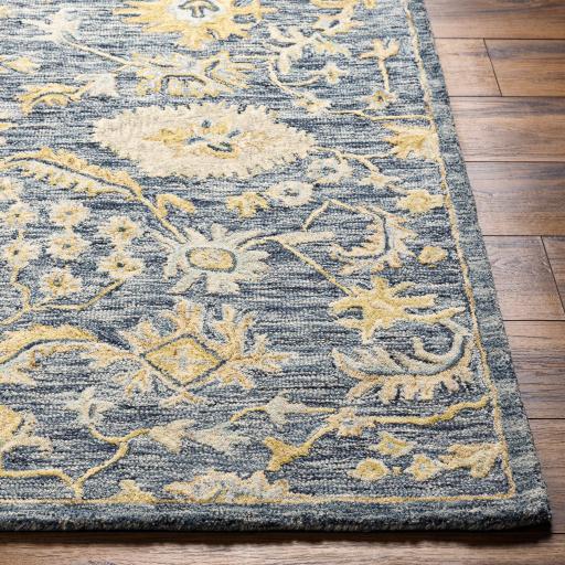 Surya Lazio LAZ-2302 2' x 3' Rug