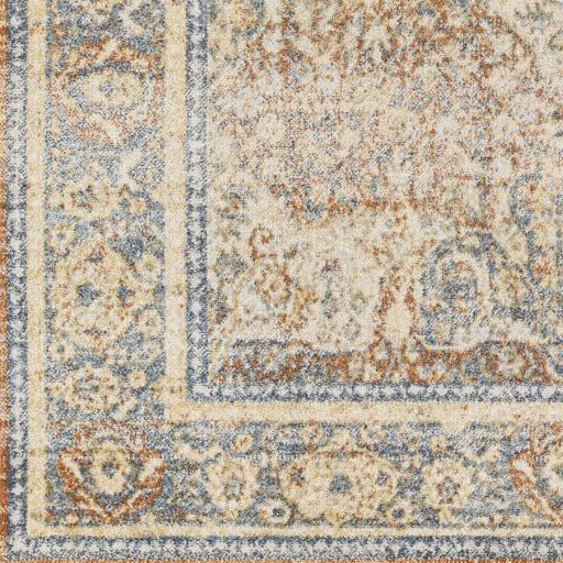 Surya Lillian LLL-2304 2' x 2'11" Rug