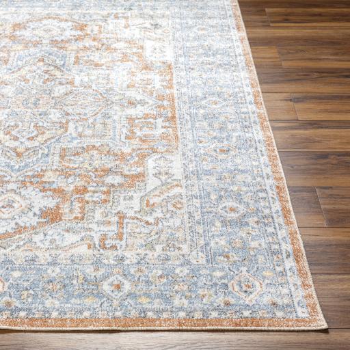 Surya Lillian LLL-2316 Brick Red Brown 2'3" x 3'9" Rug