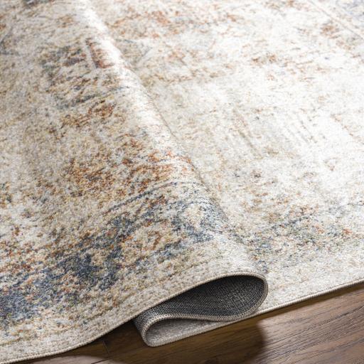 Surya Lillian LLL-2317 2'3" x 3'9" Rug