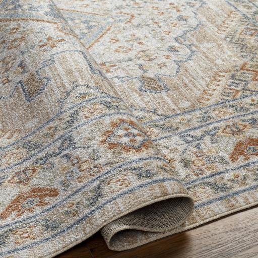 Surya Lillian LLL-2318 2'3" x 3'9" Rug