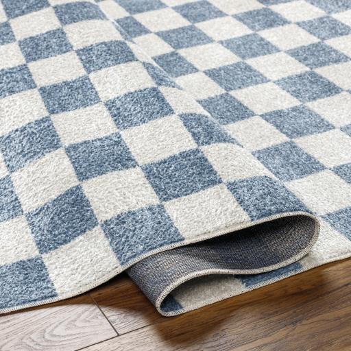 Surya Lillian LLL-2337 2'3" x 3'9" Rug
