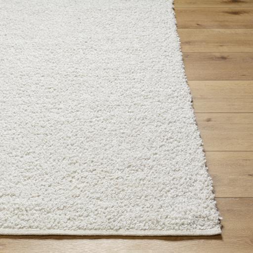Surya Boculette BCT-2300 6' x 9' Rug