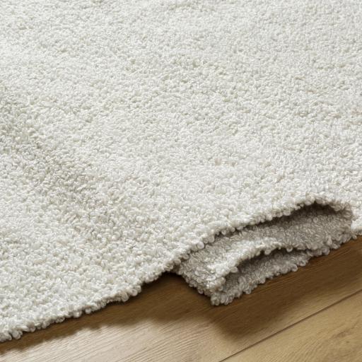 Surya Boculette BCT-2300 6' x 9' Rug