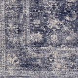 Surya Lincoln LIC-2303 2' x 3'3" Rug