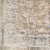 Surya Lincoln LIC-2306 2' x 3'3" Rug
