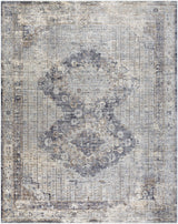 Surya Liverpool LVP-2301 3'11" x 5'7" Rug