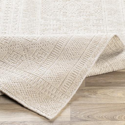 Surya Livorno LVN-2303 8' x 10' Rug