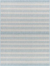 Surya Long Beach LBH-2306 2'7" x 7'3" Rug