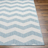 Surya Long Beach LBH-2311 Aqua Ivory 2'7" x 7'3" Rug